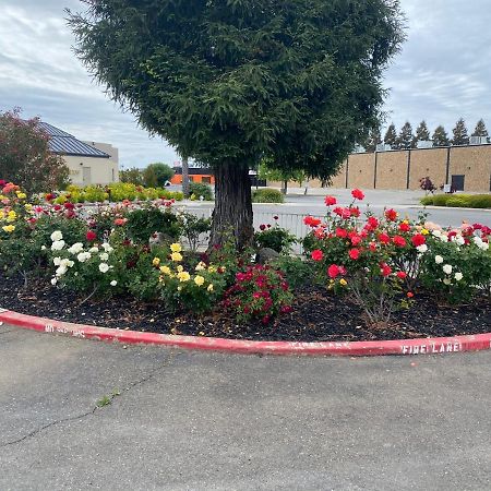 Oasis Inn Sacramento- Elk Grove מראה חיצוני תמונה