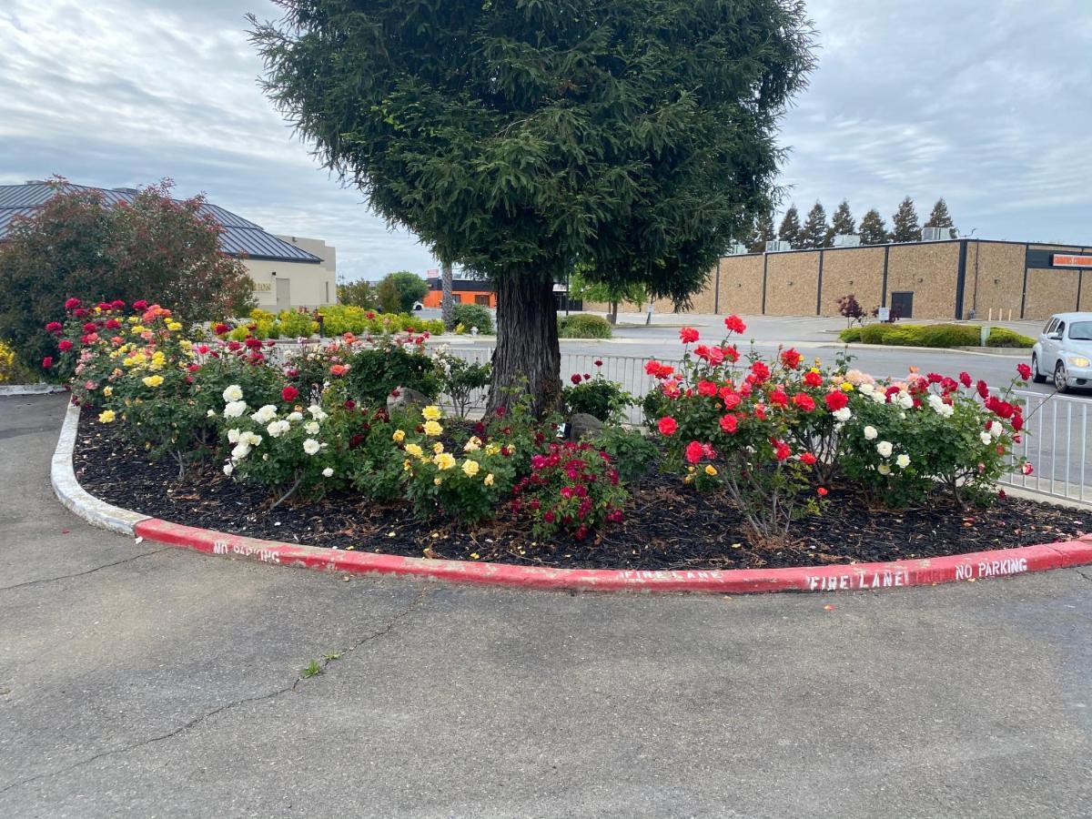 Oasis Inn Sacramento- Elk Grove מראה חיצוני תמונה